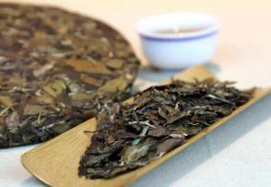 老白茶的功效