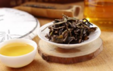  常喝福鼎白茶能够治疗脂肪肝吗 