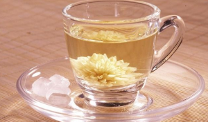 菊花茶的饮用禁忌