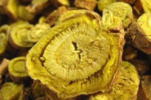 黄芩的功效与作用