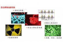 白茶的功效与作用图片 