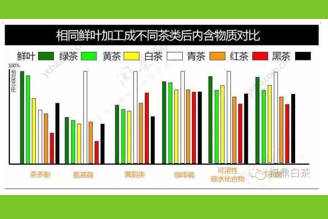 不同茶类的功效成分含量对比图