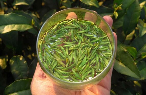 开化龙顶茶价格