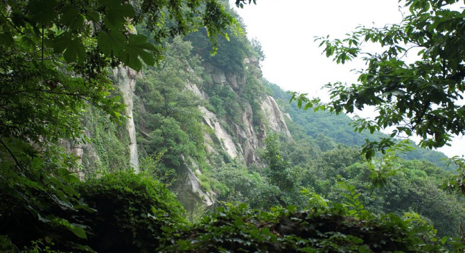 花果山云雾茶的民间传说