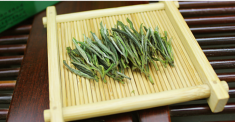黄山毛尖是什么茶