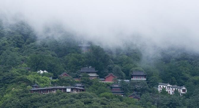 花果山云雾茶的民间传说