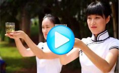 毛尖的泡法图解及视频