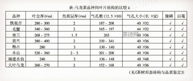 铁观音发源地在哪里