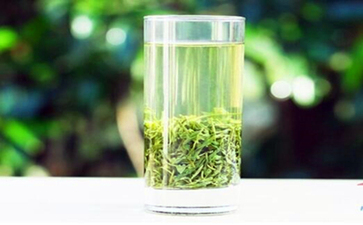 信阳毛尖是绿茶吗