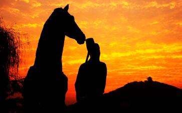 陆游与辛弃疾倾盖如故的深厚友谊