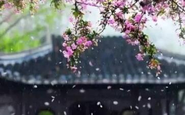 陆游与辛弃疾倾盖如故的深厚友谊