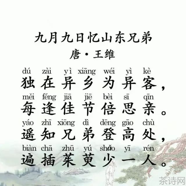 王维《九月九日忆山东兄弟》 婷婷唱古文·婷婷诗教