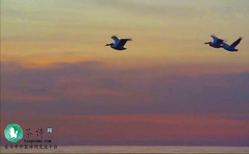 王维《九月九日忆山东兄弟》 婷婷唱古文·婷婷诗教