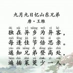 诗人王维的千古名诗《九月九日亿山东兄弟》深度赏析