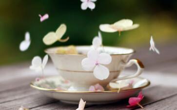 什么季节喝什么茶最好？喝什么茶不重要，重要的是喝啊！