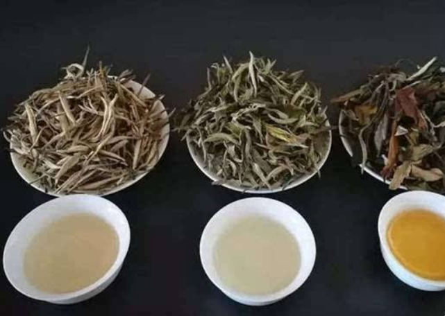  湖南白茶产地是哪里最好 哪里产的白茶最地道