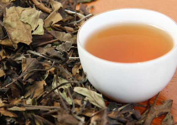  贡眉白茶的功效与禁忌 避开喝茶的禁忌才能充分发挥其功效