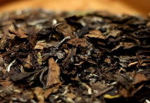  福鼎白茶的产地是哪里 正宗的福鼎白茶的产地及保质期