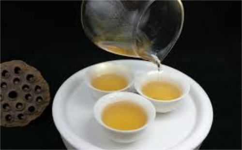  福鼎白茶属于什么茶种 福鼎白茶到底是哪种茶类