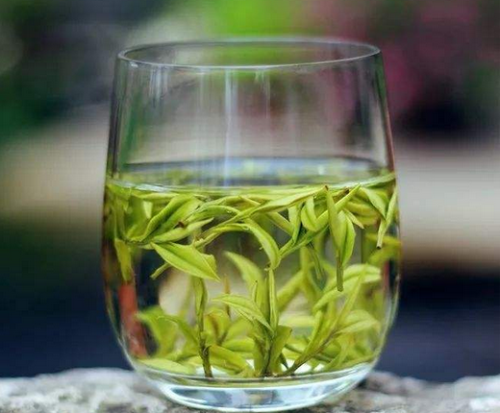  白茶产地安徽哪里 安徽白茶的产地及制作方法介绍