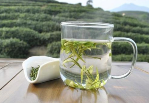  白茶产地安徽哪里 安徽白茶的产地及制作方法介绍