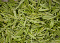  安吉白茶是什么地方生产的 详细介绍安吉白茶的产地及起源