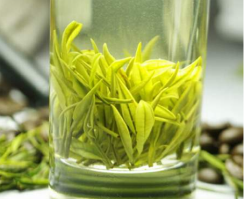  安吉白茶1200一斤合理吗 2020安吉白茶的价格详情