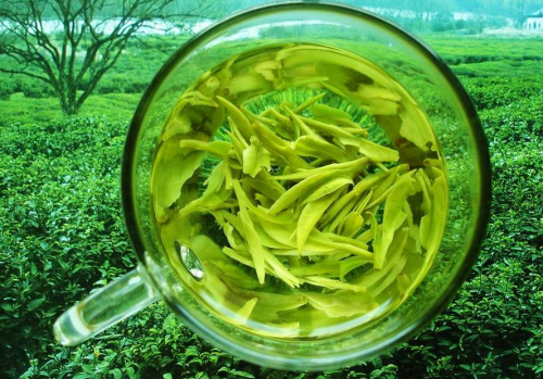  龙井茶多少钱一斤 2020西湖龙井茶最新价格报价详情