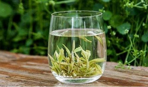  安吉白茶多少钱一斤 2020安吉白茶的最新销售价格