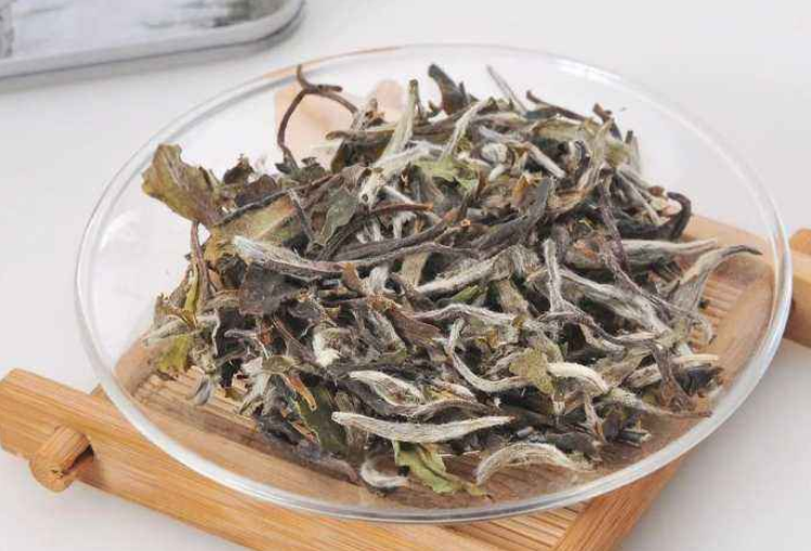  福鼎白茶多少钱一斤 如何选购 2020福鼎白茶的最新价格