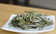  福鼎白茶多少钱一斤 如何选购 2020福鼎白茶的最新价格