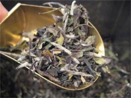  中国十大白茶排名 中国福鼎白茶十大名牌排行榜