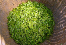  龙井茶品种 西湖龙井茶的3个品种及产地介绍