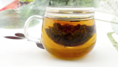  铁观音是生茶还是熟茶 铁观音生茶和熟茶怎么区分
