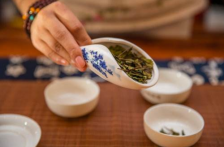  龙井茶好喝吗 教你龙井茶的六步冲泡方法 味道更美味