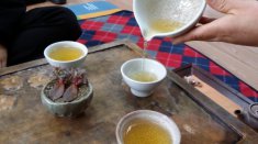  中国特产黄茶是什么茶？有哪些种类及功效作用？