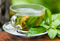  桑茶多少钱一斤 2020桑葚茶的最新市场售价及功效介绍