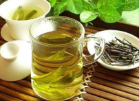  苦丁茶价格多少钱一斤 2020苦丁茶的市场售价详情