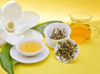  玉兰花茶的功效与禁忌 喝玉兰花茶的益处以及禁忌介绍