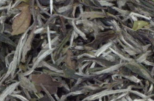  白牡丹参考价格多少钱1斤 白牡丹的种类 白牡丹茶的品质特征