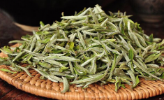  白牡丹茶的功效 白牡丹茶可以杀菌消炎和抗疲劳吗