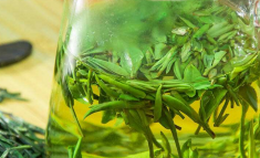 <b> 喝绿茶有助于消炎降火 绿茶冲泡注意事项</b>