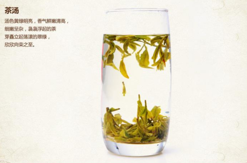 西湖龙井茶保存方法