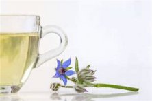  秋季养生花茶配方大全，秋季保健茶的做法及功效作用