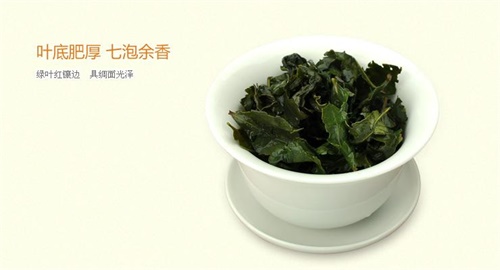 铁观音储存的温度是多少