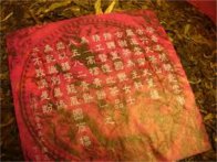  冲泡普洱茶的茶具 普洱茶冲泡过程中细菌的安全性