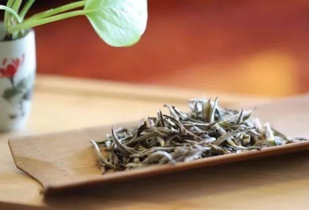  喝福鼎白茶的功效与作用是什么 喝白茶的好处和注意事项