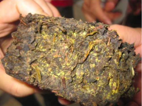  安化金花黑茶的功效与作用及禁忌分别是什么 一定要看看