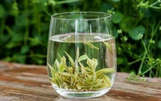  安吉白茶的特点和功效是什么 安吉白茶的功效作用及特点