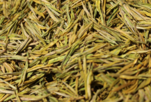  雅安黄茶的功效和作用 能美容养颜吗 如何喝雅安黄茶